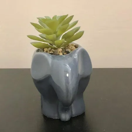 Apartment Blue Moon